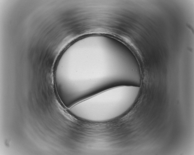 X0000102011372200807180902