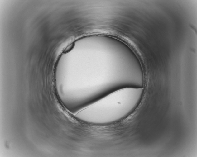 X0000102011373200807180901