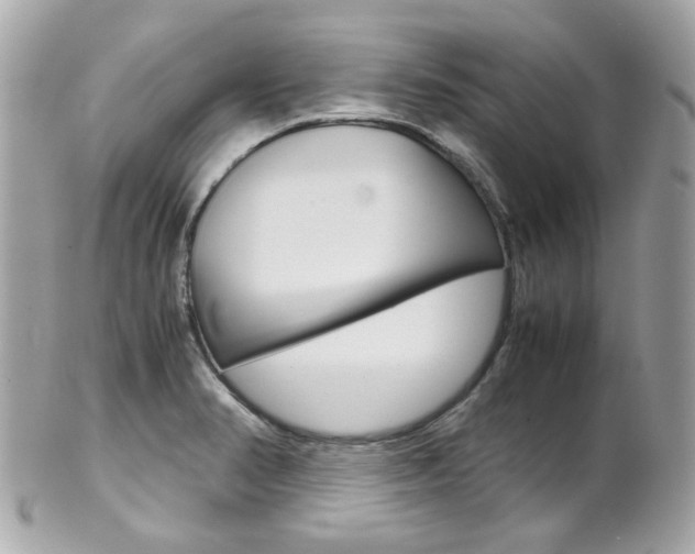 X0000102011374200807180901