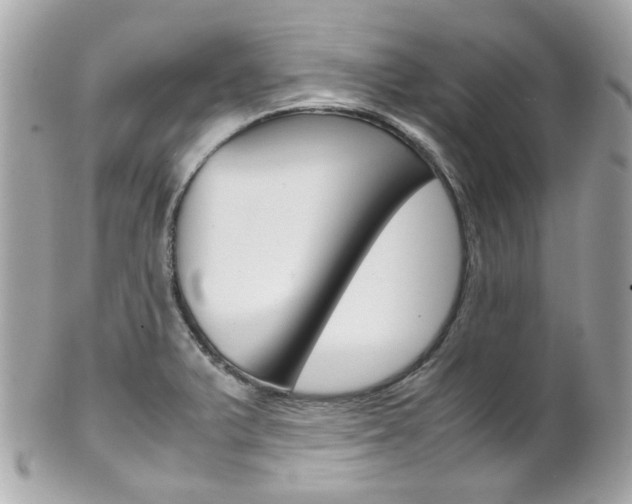 X0000102011375200807180901