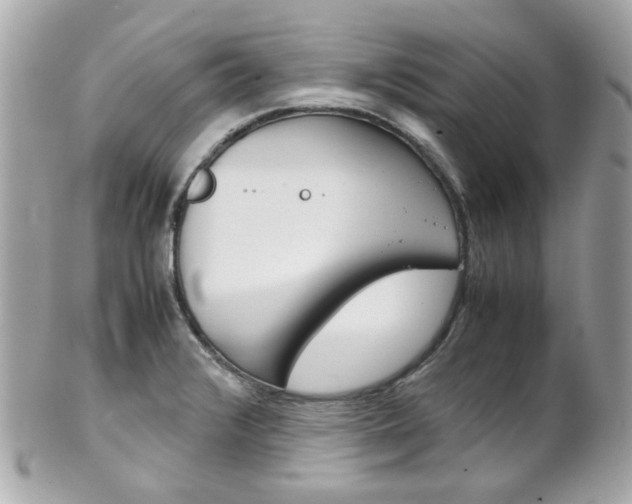 X0000102011376200807180901