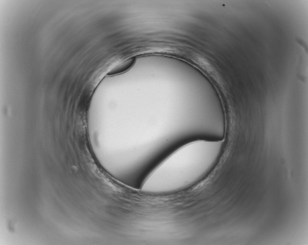 X0000102011377200807180901