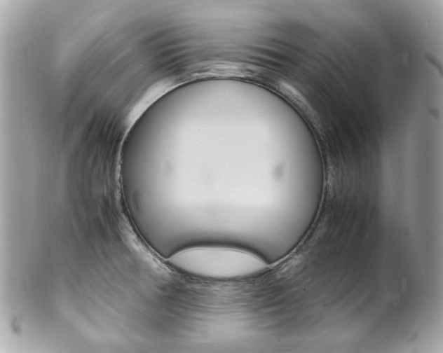 X0000102011378200807180901