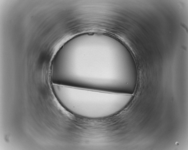 X0000102011379200807180901
