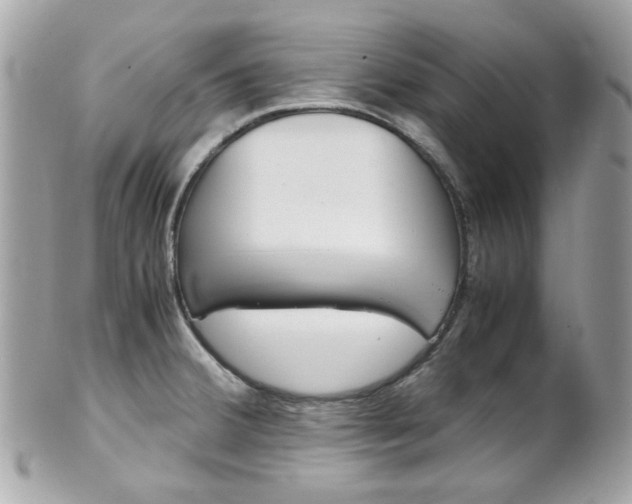 X0000102011380200807180901