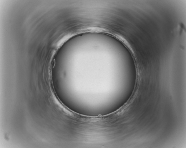 X0000102011381200807180901