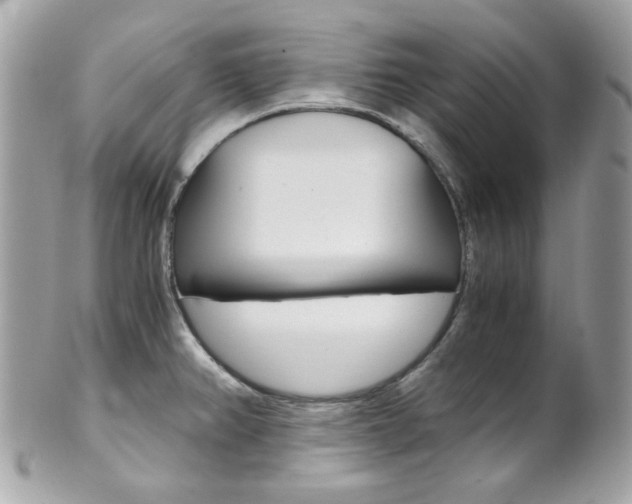X0000102011382200807180901