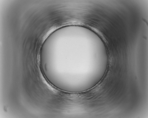 X0000102011383200807180901