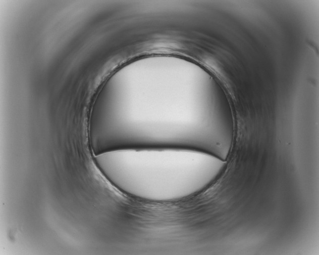 X0000102011384200807180901