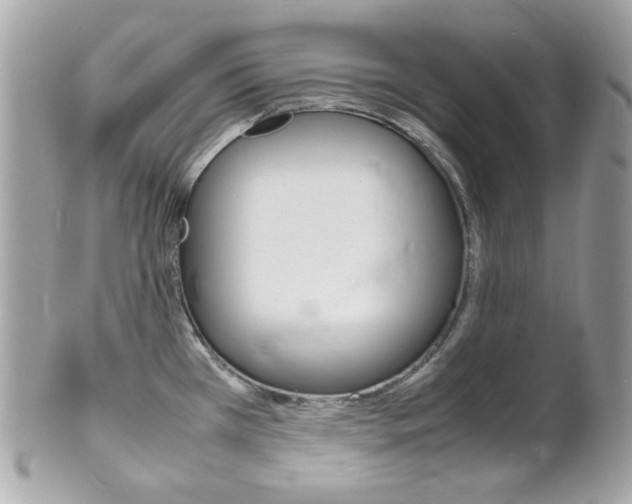 X0000102011385200807180901