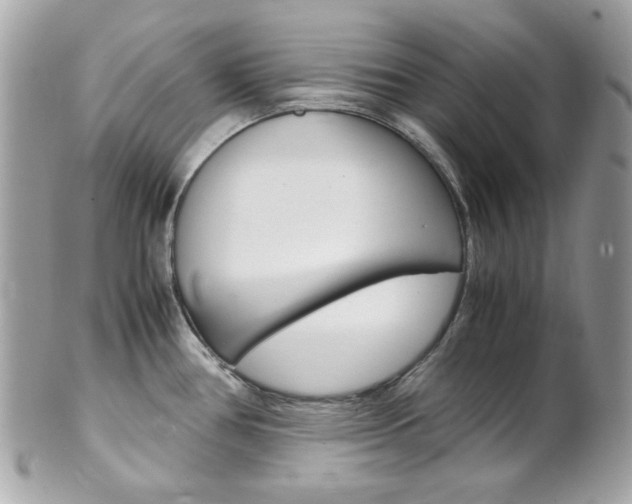 X0000102011386200807180901