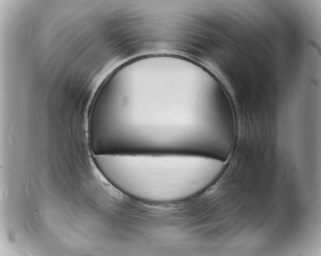 X0000102011388200807180901