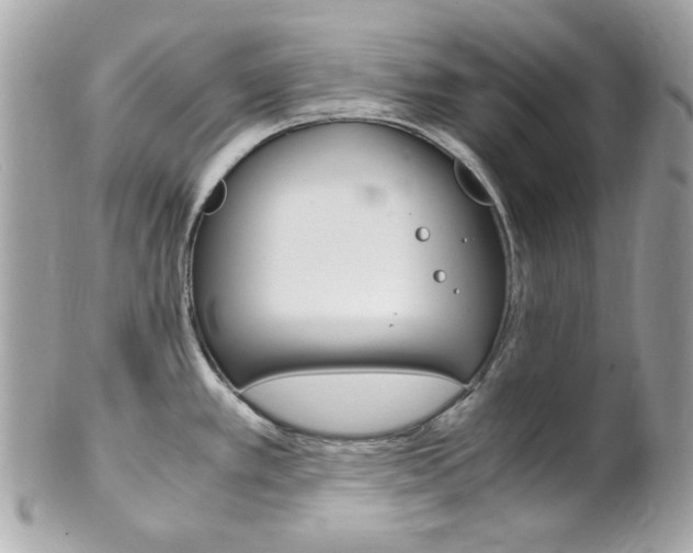 X0000102011389200807180901