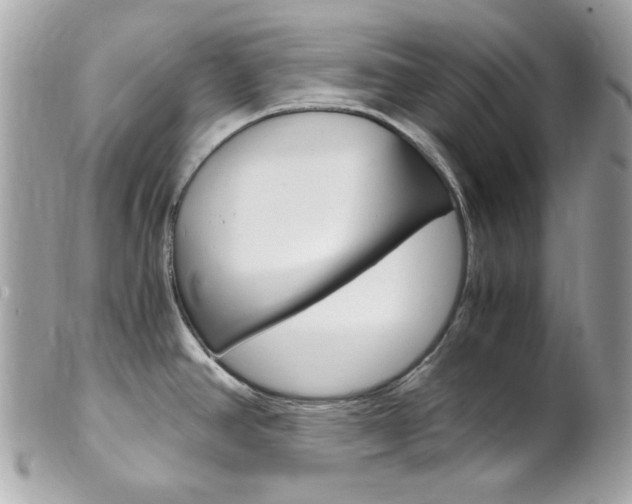 X0000102011390200807180901