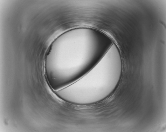 X0000102011391200807180901