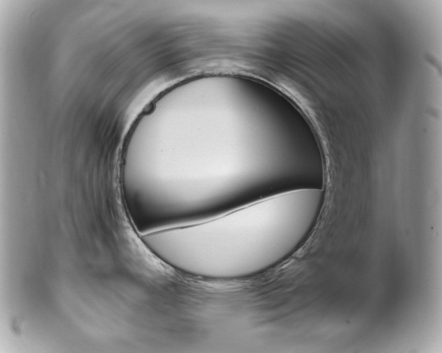 X0000102011392200807180901