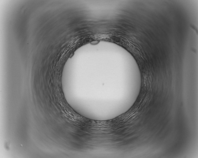 X0000102011393200807180900