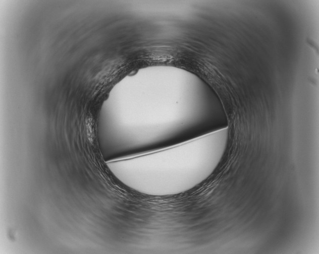 X0000102011394200807180900