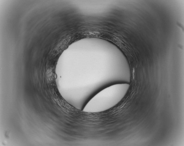 X0000102011395200807180900