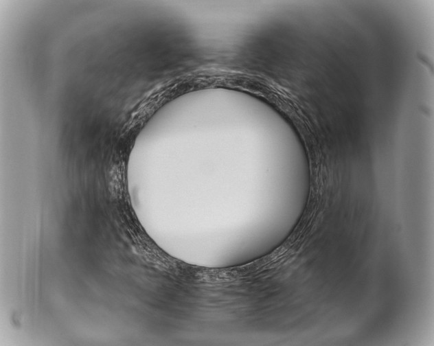 X0000102011397200807180900