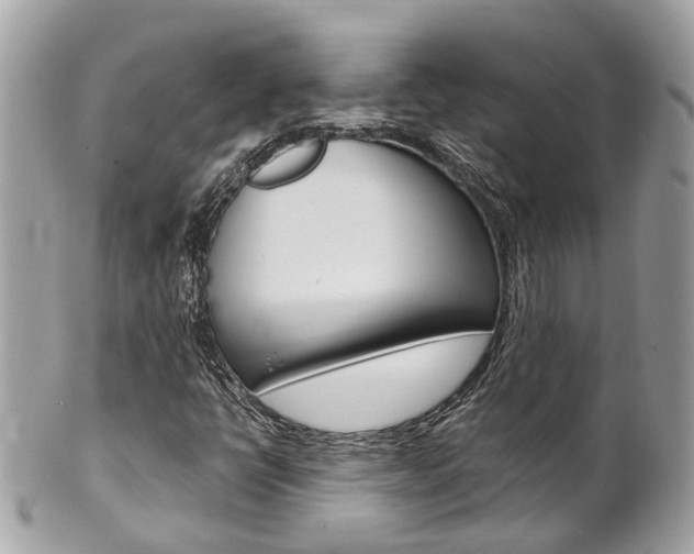 X0000102011398200807180900