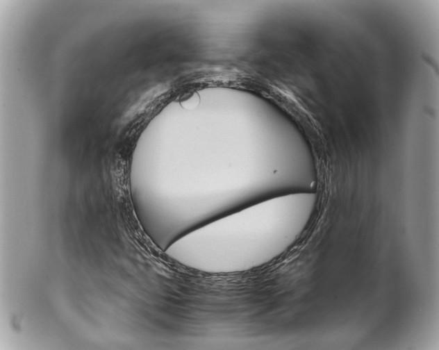 X0000102011399200807180900