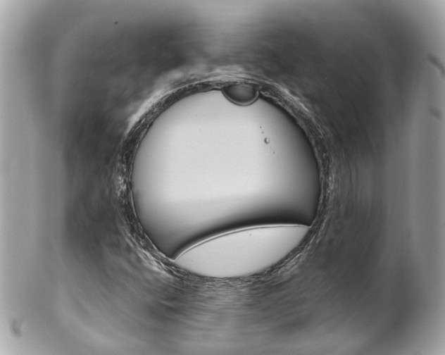 X0000102011400200807180900