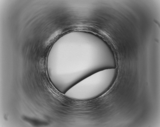 X0000102011403200807180901