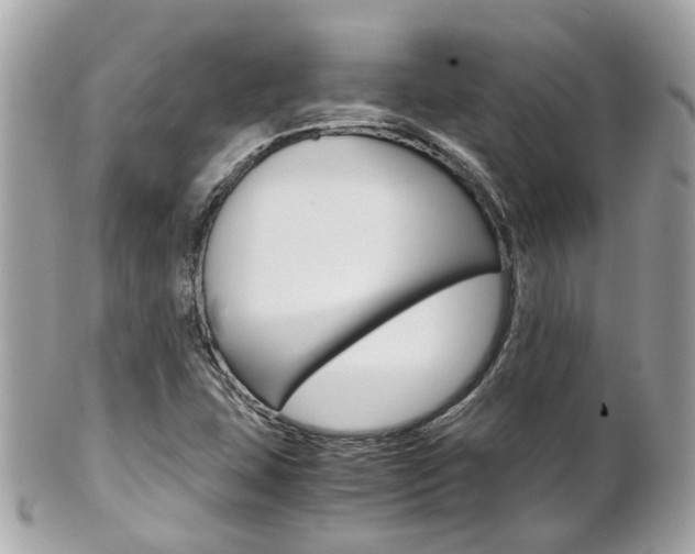 X0000102011407200807180901