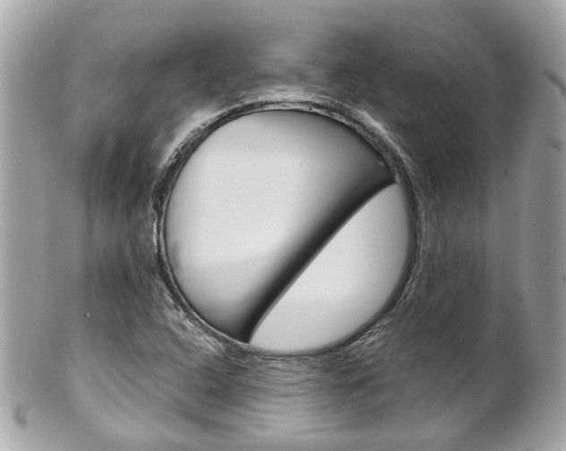 X0000102011408200807180901