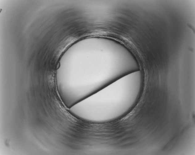 X0000102011409200807180901