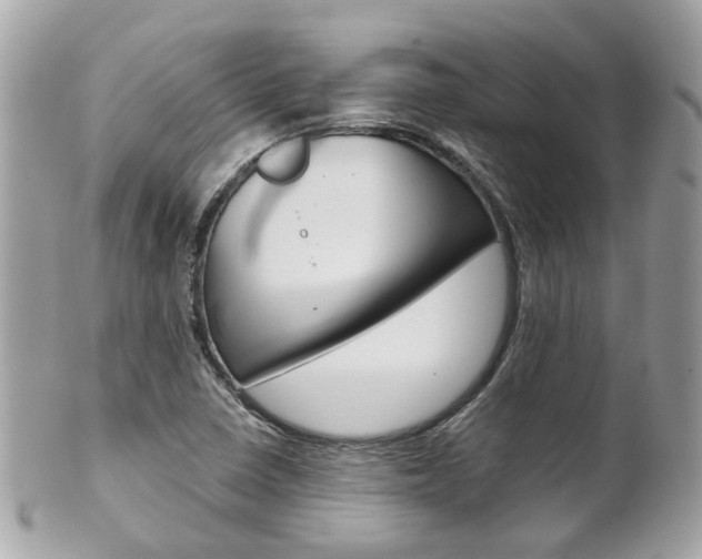 X0000102011410200807180901