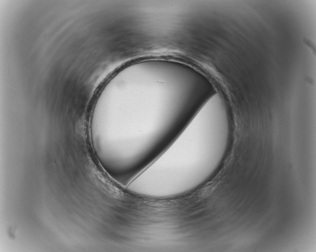 X0000102011412200807180901
