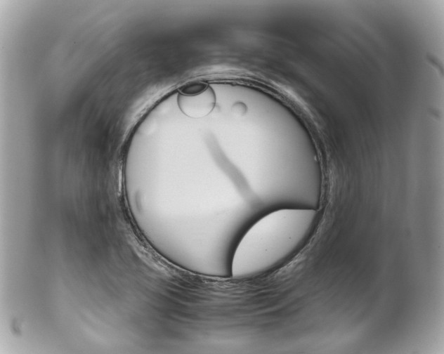 X0000102011413200807180901