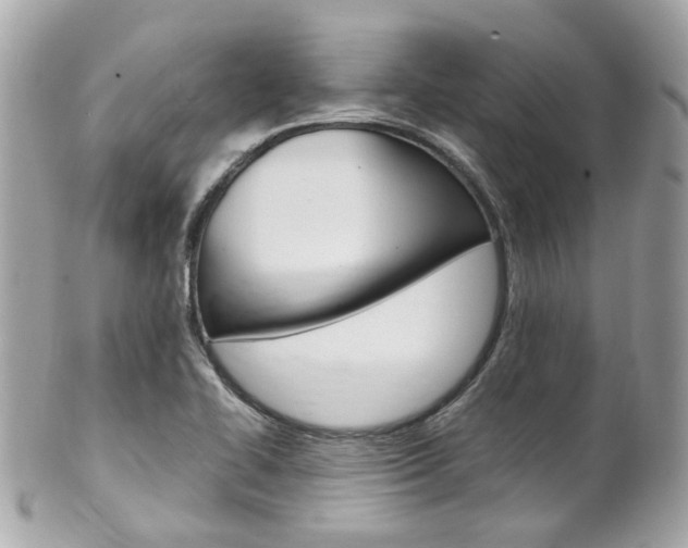 X0000102011414200807180901
