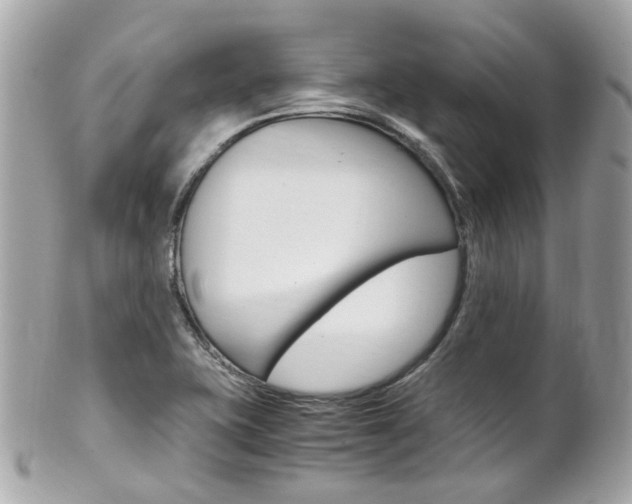 X0000102011415200807180901