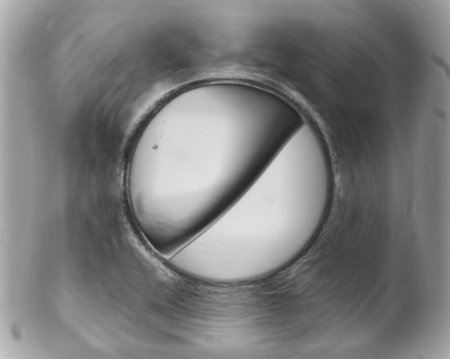 X0000102011416200807180901
