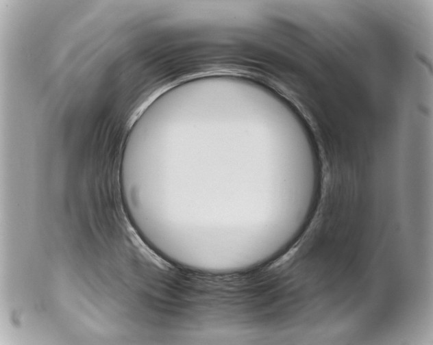 X0000102011417200807180901