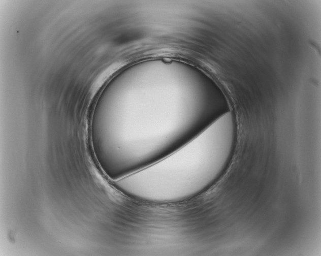 X0000102011418200807180901