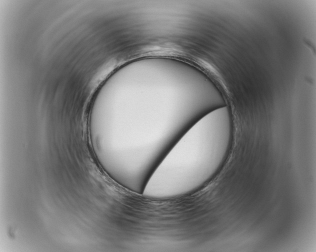 X0000102011419200807180901