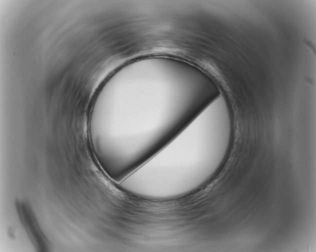 X0000102011420200807180901