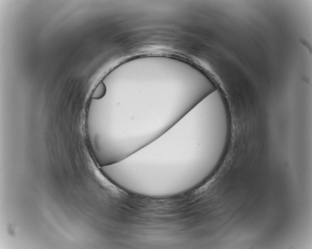 X0000102011421200807180901