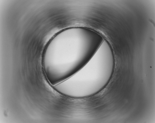 X0000102011422200807180901