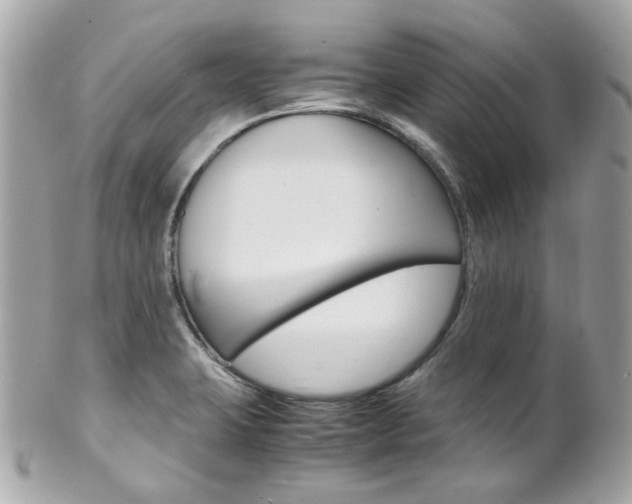 X0000102011423200807180901