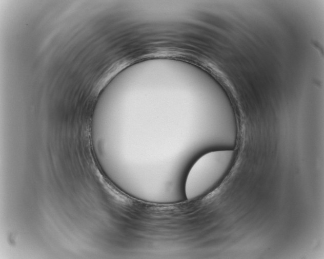 X0000102011425200807180901