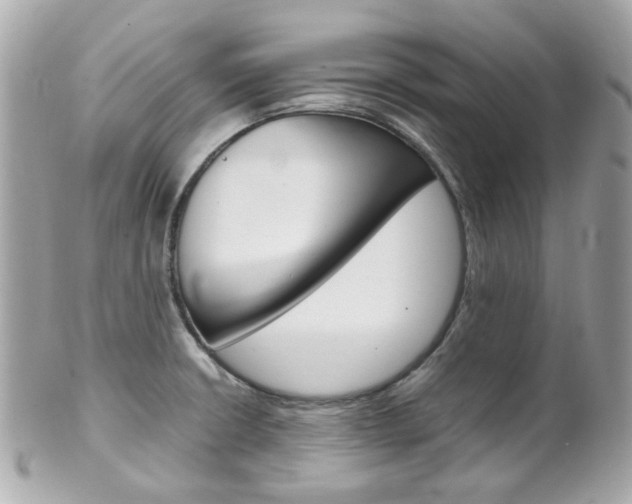 X0000102011426200807180901