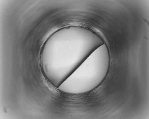 X0000102011427200807180901