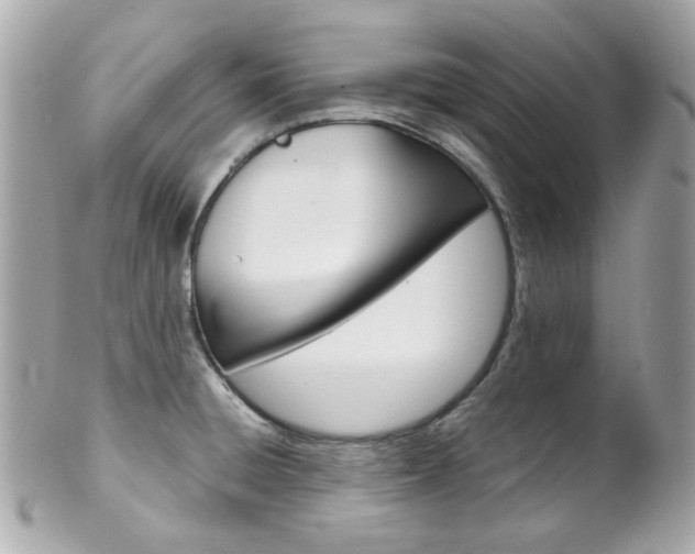 X0000102011428200807180901