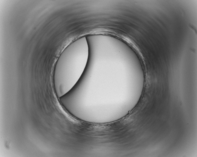 X0000102011429200807180901