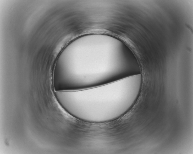X0000102011430200807180901